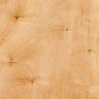 Maple