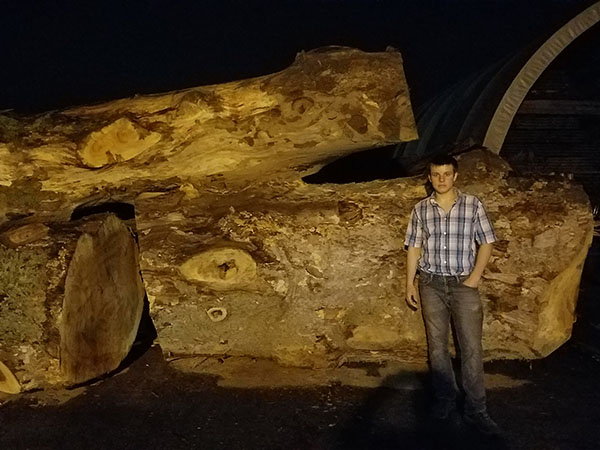 Bradlyn at the Logs Supplier waiting to be cut