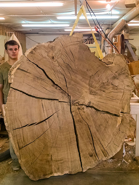 Wood Slab Making Oak Cookie